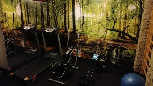 a room with three treadmills and a painting of a forest at Privat LeNa in Ružomberok