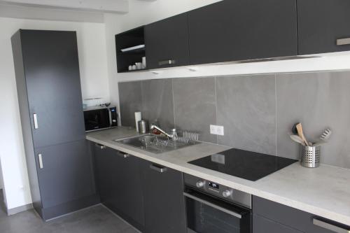 - une cuisine avec des placards noirs et un évier dans l'établissement La Maison du Gardien Domaine du Château des Loups, à Échiré