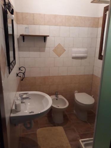 Bilik mandi di Agriturismo Su Pirastru