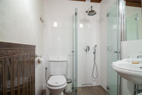 a bathroom with a toilet and a sink and a shower at Folwark Walencja in Kazimierz Dolny
