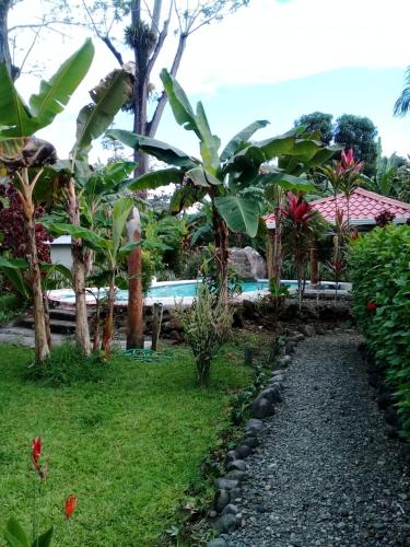 a garden with trees and a gravel path at Cabinas Los Tucanes in Cahuita