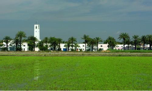 a white building with a clock tower in a field at Mas Illa de Riu - Auténtica Masía del Delta del Ebro con capacidad para 20 personas - Deltavacaciones in Sant Jaume d'Enveja