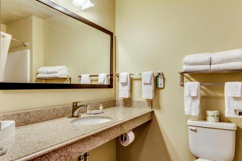 Bilik mandi di Cobblestone Inn & Suites - Waverly