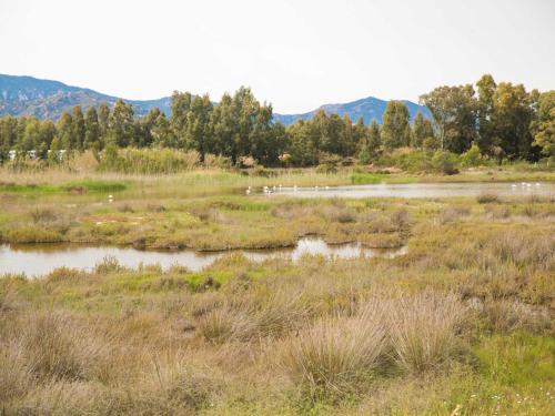Φωτογραφία από το άλμπουμ του Camping Cala d'Ostia σε Pula