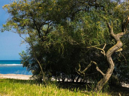 Φωτογραφία από το άλμπουμ του Camping Cala d'Ostia σε Pula