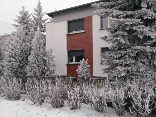 Apartament Legnicka 1