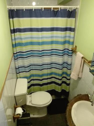 a bathroom with a toilet and a shower curtain at Hostal Epu Pewen in Curacautín