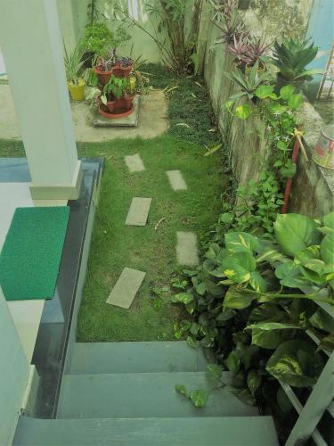 a garden with squares of grass and plants at El Casa Homestay in Cochin