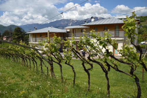 uma fileira de árvores num campo com uma casa em Agritur Ponte Alto em Trento