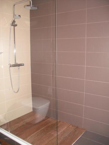a shower stall with a toilet in a bathroom at Muralha de Caminha in Caminha