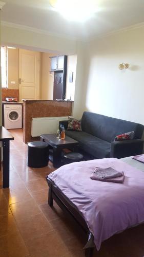 un soggiorno con un letto e un divano di Vazi a Tbilisi City
