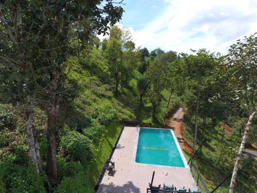an overhead view of a swimming pool in a forest at Chateau Woods in Kalpetta