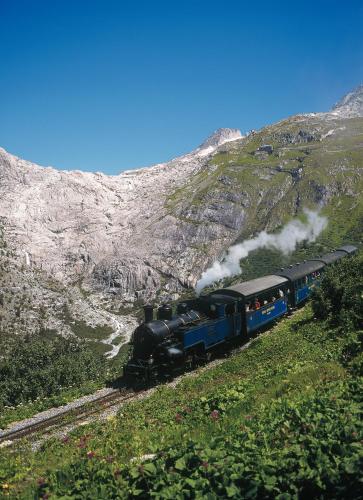 a train traveling down the tracks near a mountain at Hotel-Restaurant Drei Tannen in Niederwald