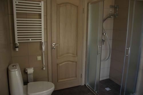 a bathroom with a toilet and a shower with a glass door at Birštono Banginukas in Birštonas