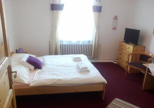 a small bedroom with a bed and a window at Hotel Garni Belveder in Hřensko