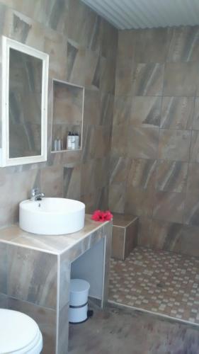 a bathroom with a sink and a mirror at Etotongwe Lodge in Outjo