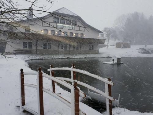 a building in the snow next to a body of water at Hotel Burg Hof in Burg-Reuland