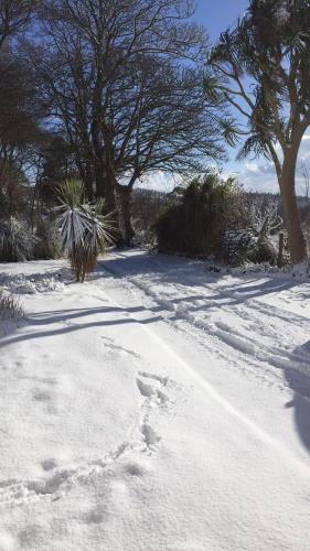 a snow covered road with trees in the background at Redington House SelfCatering accommodation in Cobh