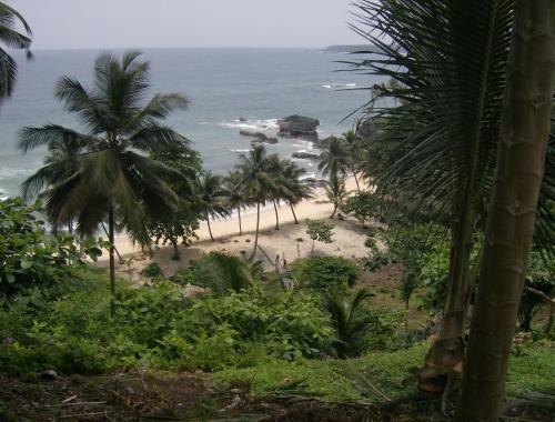 a view of a beach with palm trees and the ocean at N`Guembú Nature Resort in Porto Alegre