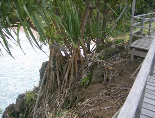 a bench sitting next to a beach next to the water at N`Guembú Nature Resort in Porto Alegre