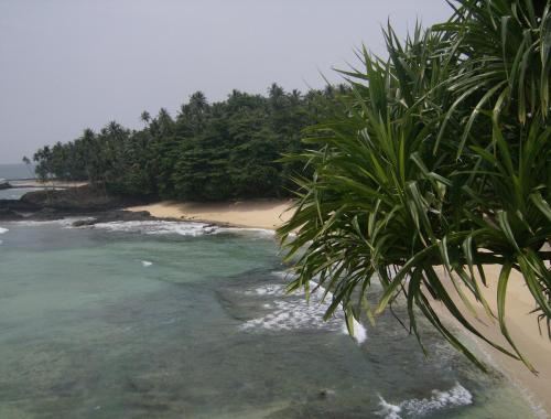 a beach with a bunch of trees and water at N`Guembú Nature Resort in Porto Alegre