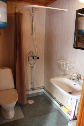 a bathroom with a shower and a toilet and a sink at Värnäs Camping in Stöllet