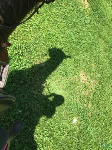 a shadow of a person riding a bike on the grass at Reitbauernhof Schartner in Altaussee