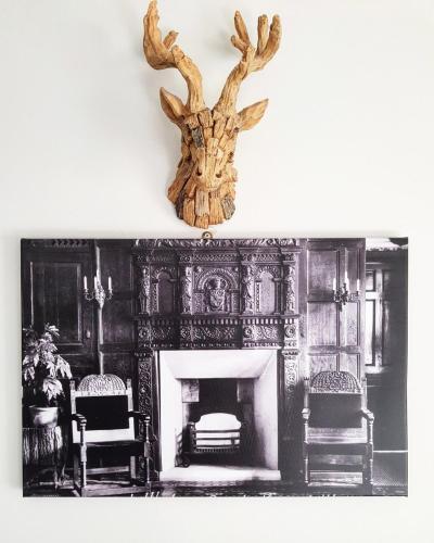 a room with a fireplace and a deer head on the wall at Littledean House Hotel in Cinderford