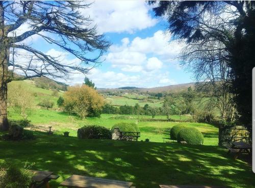 un campo verde con árboles y bancos en la hierba en Littledean House Hotel, en Cinderford