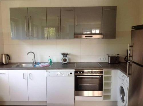 Η κουζίνα ή μικρή κουζίνα στο Appartements am Park
