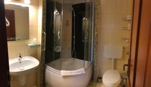 a bathroom with a shower and a sink and a toilet at Pensiunea Gasthaus Alte Post in Sighişoara
