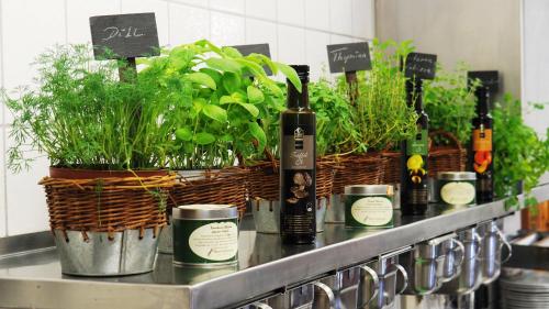 a counter with a bunch of bottles of wine and plants at Hotel Schwarzenbergs Traube in Glottertal