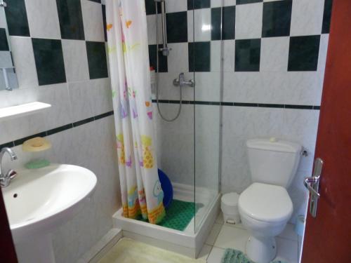 a bathroom with a shower and a toilet and a sink at Chez L'habitant in Capesterre-Belle-Eau
