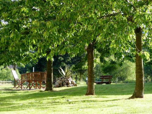 a park with a bench and trees in the grass at Ferienhotel Wolfsmühle in Rodishain