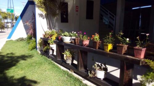 a row of potted plants on a fence at Brisa Mar in Flecheiras