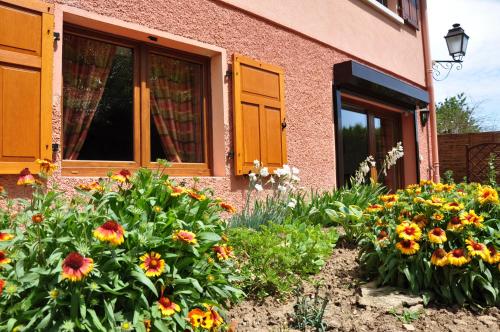Zahrada ubytování studio Fleurette