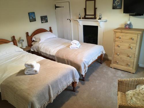 a bedroom with two beds and a fireplace and a dresser at Wood Farm Kerdiston in Reepham