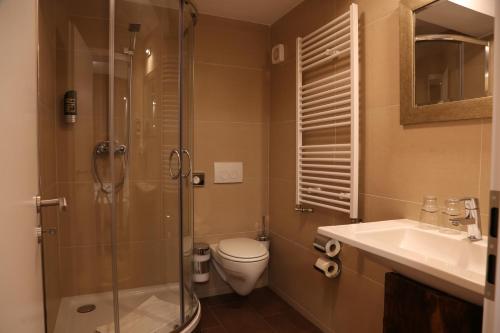 een badkamer met een douche, een toilet en een wastafel bij Markthotel Warendorf in Warendorf