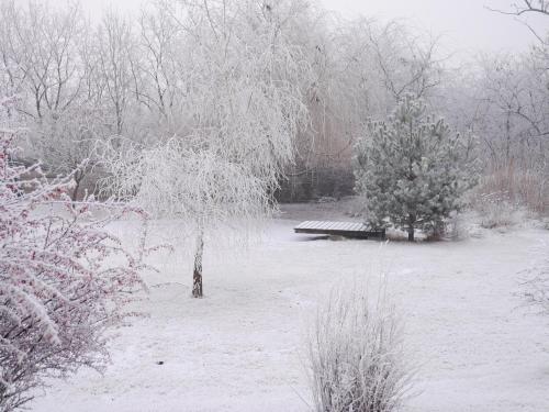 a snow covered park with a bench and trees at Anna Panzió in Dunavarsány