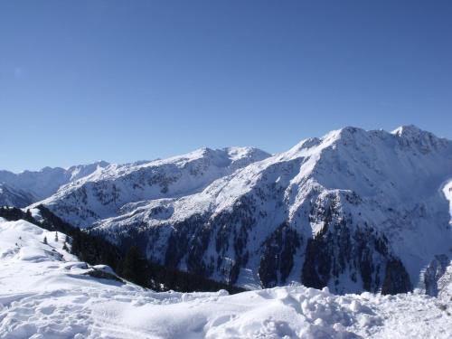 a mountain covered in snow with trees in the foreground at Hinterschwarzenau in Auffach
