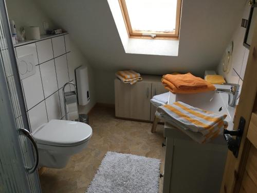 Baño pequeño con aseo y lavamanos en Ferienwohnung im kleinen Landhaus, en Willingen