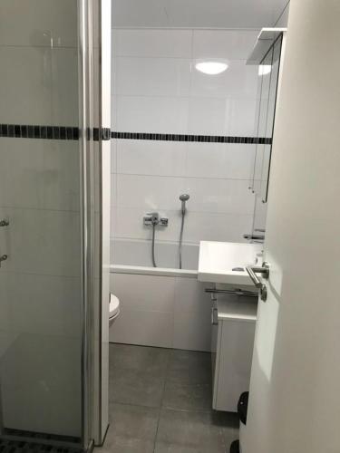 a bathroom with a shower and a toilet and a sink at Ferienhaus Heil in Neustadt an der Weinstraße