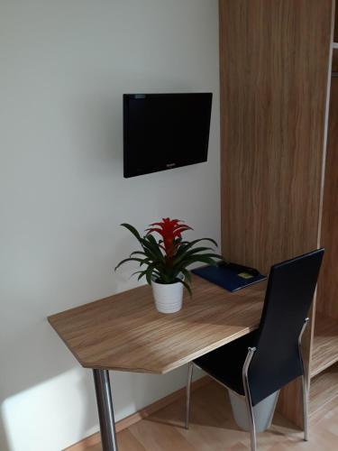 una mesa de madera con una maceta y una TV en la pared en Hotel Restaurant Stern en Mannheim