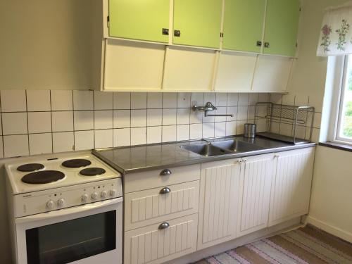 a kitchen with a stove and a sink at Peterslund in Östra Tommarp