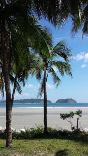 two palm trees on a beach with the ocean at Hotel Giada in Sámara