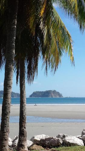 a beach with two palm trees and the ocean at Hotel Giada in Sámara