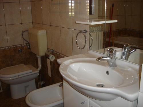 ein Bad mit einem Waschbecken und einem WC in der Unterkunft Apartment Jadranka in Olib