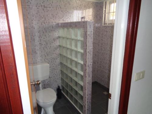 uma casa de banho com um chuveiro e um WC. em Guesthouse La Ressource em Domburg