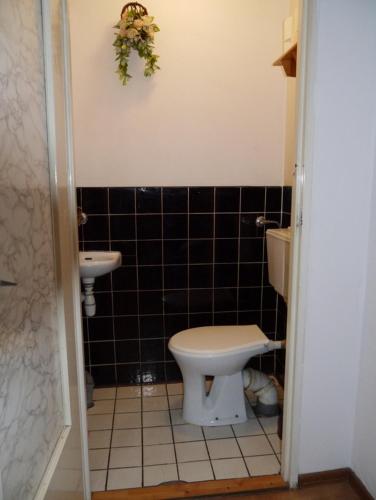 a bathroom with a toilet and a sink at Pod kasztanem gospodarstwo agroturystyczne in Stronie Śląskie