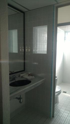 a bathroom with a sink and a mirror and a toilet at Hotel Aurora in Oaxaca City